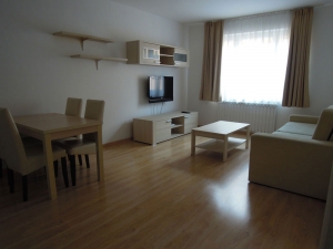 Living_Room_Apartment_306_1000