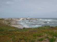 Doringbaai