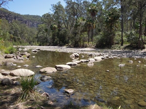 Carnarvon Gorge Walk