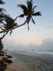 Beach at Thalpe Sri Lanka
