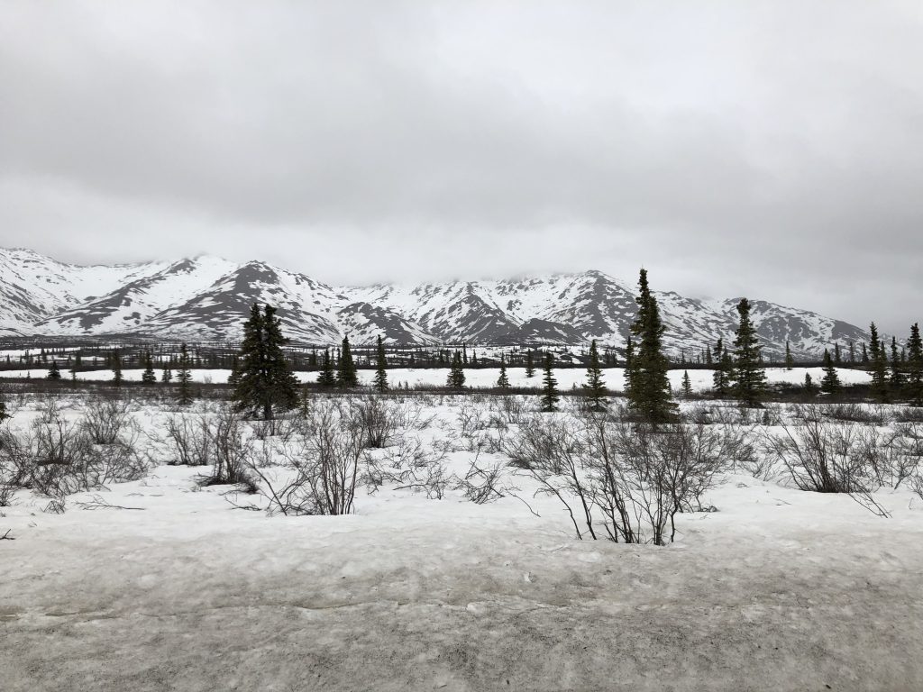 Denali National Park