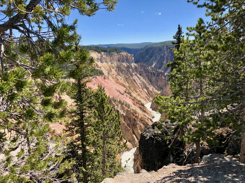 Grand Canyon of Yellowstone