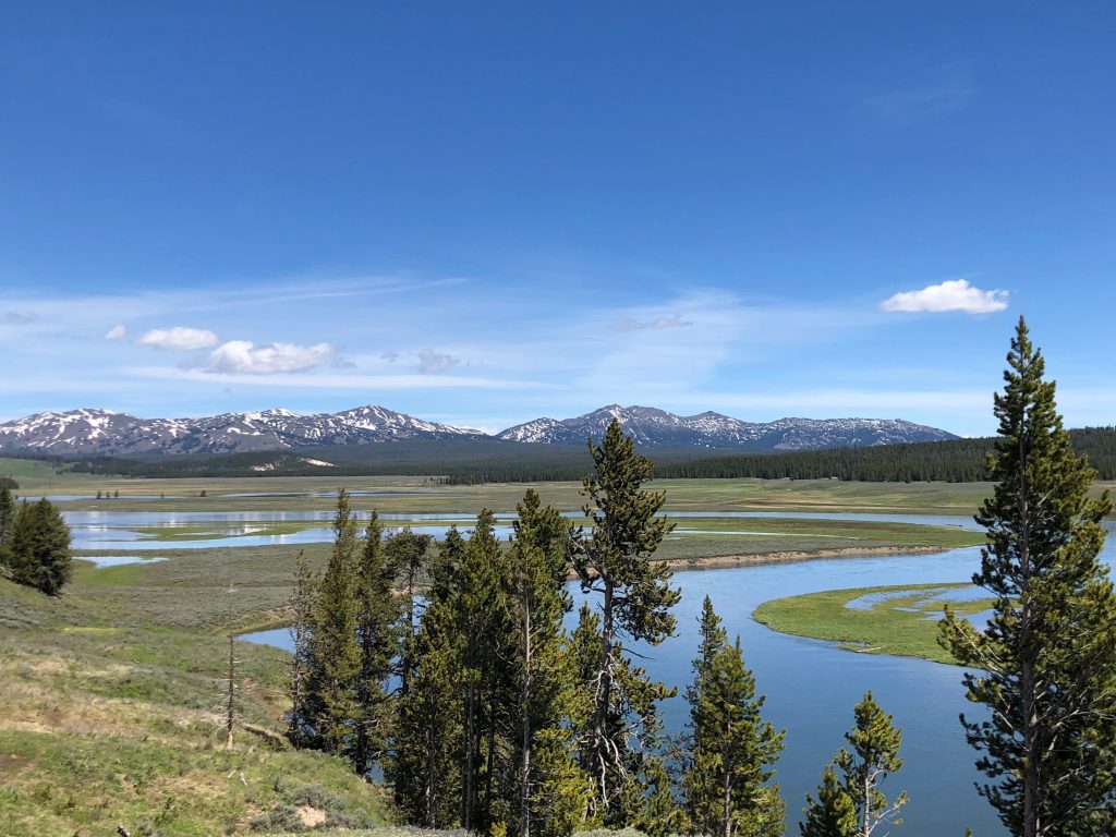 Hayden Valley Yellowstone