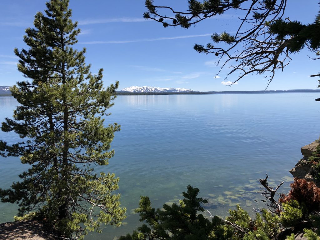 Lake Yellowstone