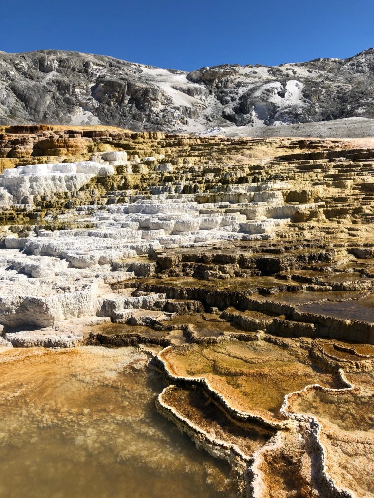 Mammoth Hot Springs Yellowstone