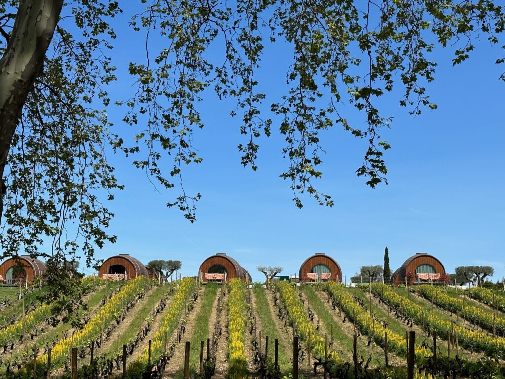 Quinta da Pacheca, Duoro Valley