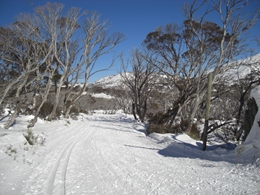 Cross-country course at Perisher