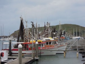 Coffs Harbour - Fishing Fleet