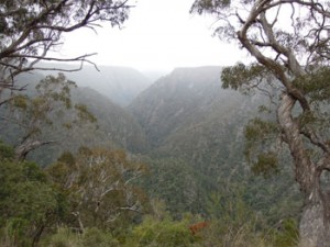 Oxley Wild Rivers National Park