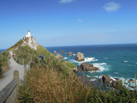 Walk to Nugget Point Lighthouse