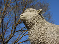 Big Lamb Statue, Guyra